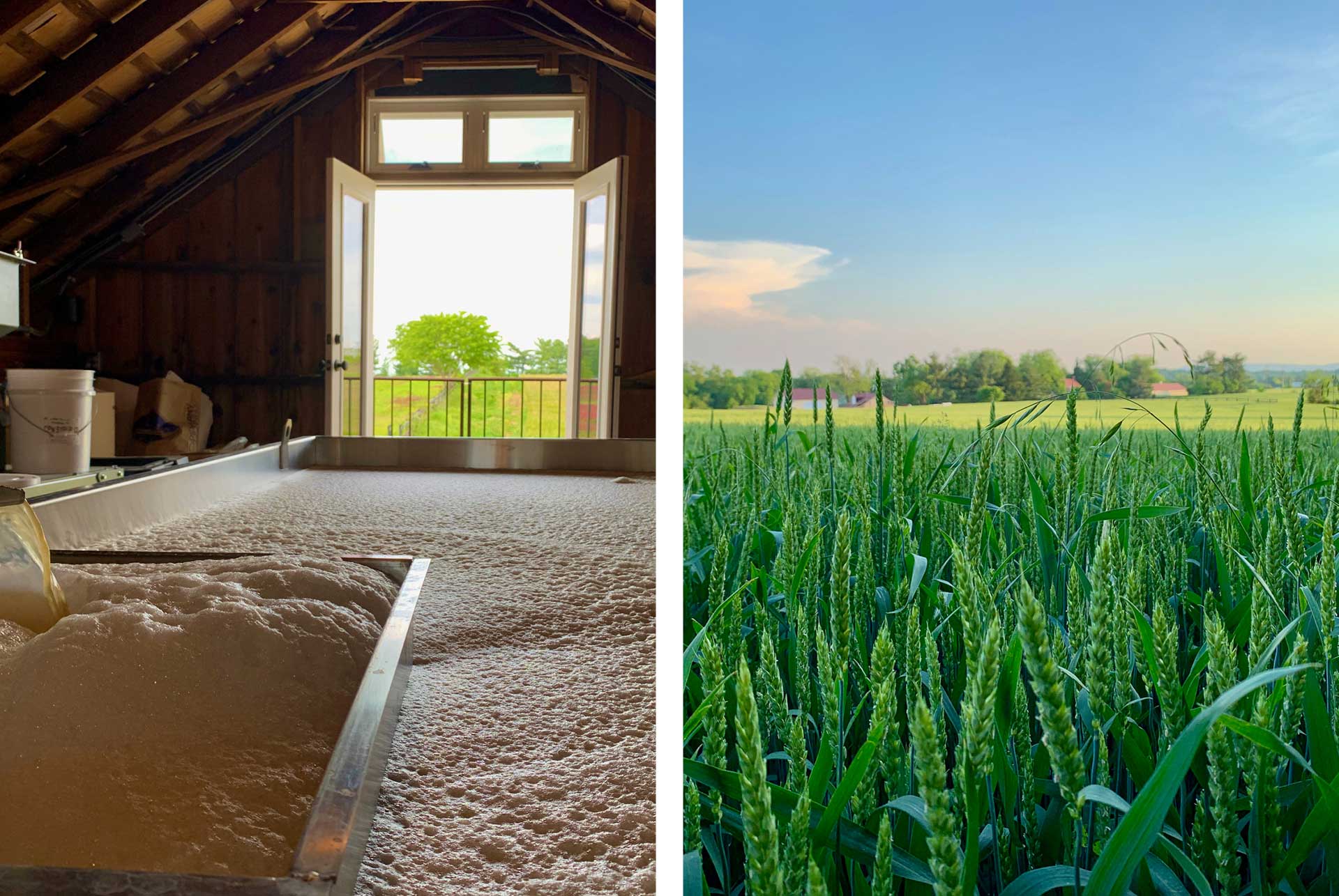 Wheatland-Spring-Farm-6