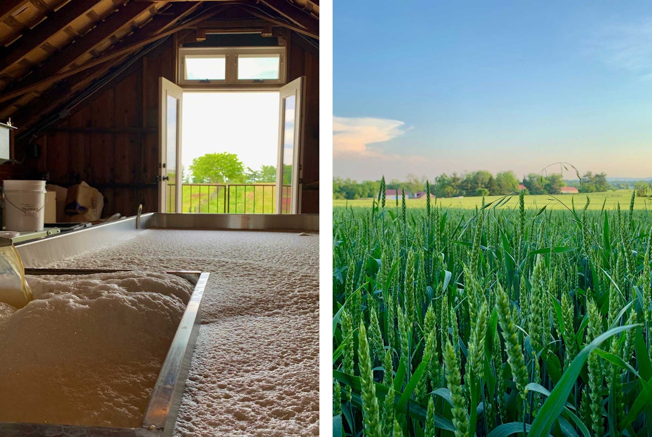 Wheatland-Spring-Farm-6