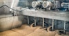 Big Brewery, Little Maltster Image