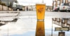 Case Study: Seventh Son Brewing Co. Image