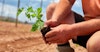 Hop Products Australia’s Multi-million-dollar Expansion is Good News for Brewers Image