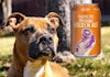Squatters Craft Beers Partners with Best Friends Animal Society Image