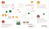 AB InBev launches 2025 Sustainability Goals and 100+ Accelerator  to advance local innovations for pressing global challenges Image