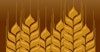  The Growth of Specialty Malts Image
