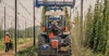 Raw Materials: Hop Producers Cope with Crisis Image