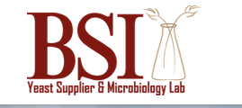 The Brewing Science Institute (BSI) logo