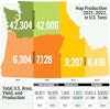 Infographic: Pacific Northwest Hops in 2022 Image