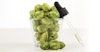 Advancing Our Knowhow on Advanced Hop Products Image