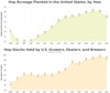 Infographic: The Hops Pullback Image