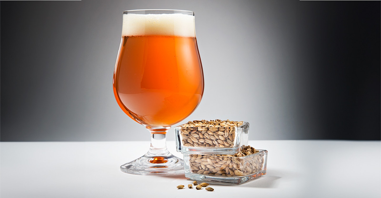 Selecting Malts for IPAs that Win Brewing Industry Guide