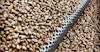 Taking Advantage of Custom Malt Image