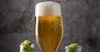 Old Strains, New Flavors: Biotransformation in Lager Yeast Image