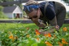 Ingredient Spotlight: Brewing with Botanicals Image