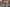 Finding Growth, Driving Traffic, and More: Your Spring 2025 Brewing Industry Guide is Here Primary Image