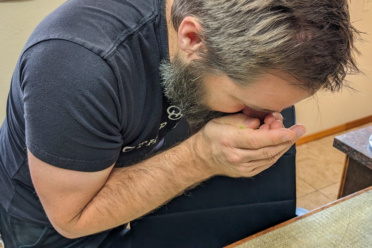Selecting Better Hops—Whatever Your Size, Wherever You Are | Brewing ...