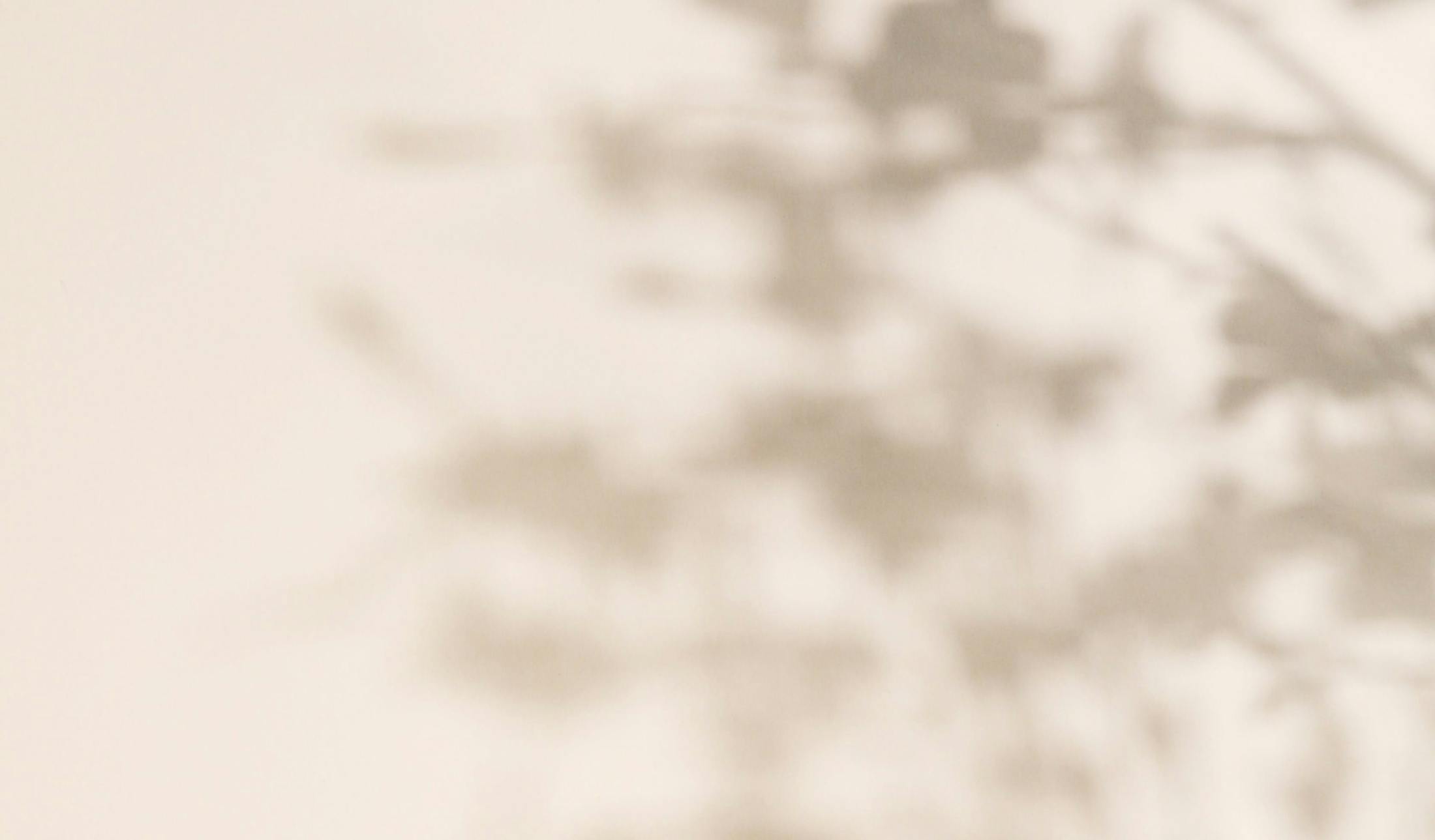 beige back drop and what looks like leaf shadows