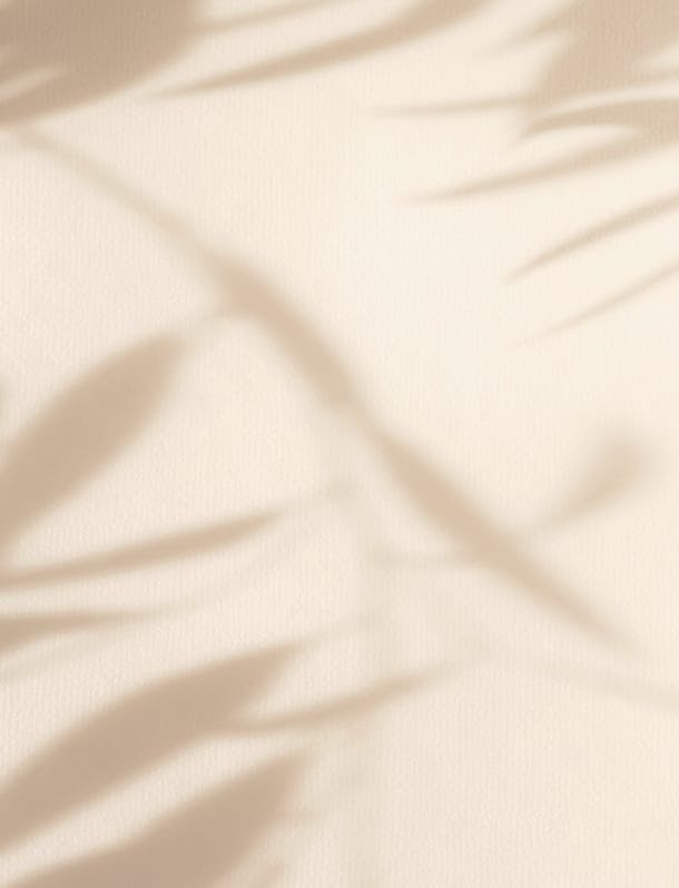 shadows on a beige background