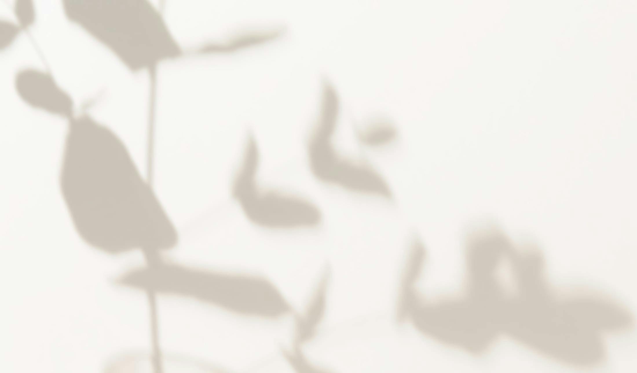 background with what looks like a beige wall and shadows.