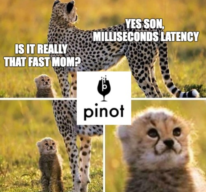 Apache Pinot Cheetah Meme