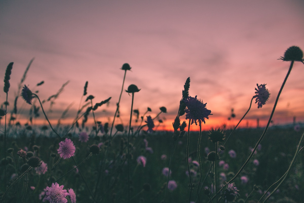 Finding Joy in the Imperfections: God's Unconditional Love