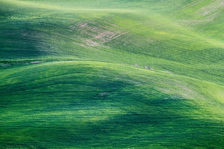Photo paysage vert pexels 2