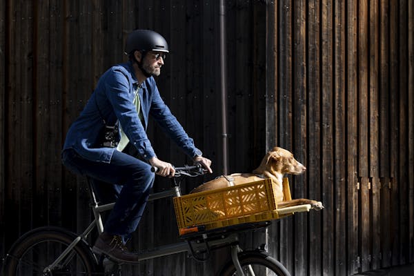 man carrying a dog on a bike