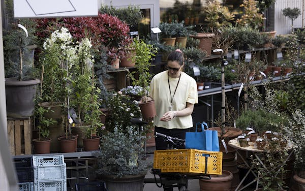 woman carrying plants on cargo bike