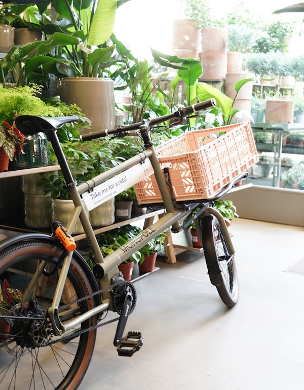 cargo e-bike in plant store