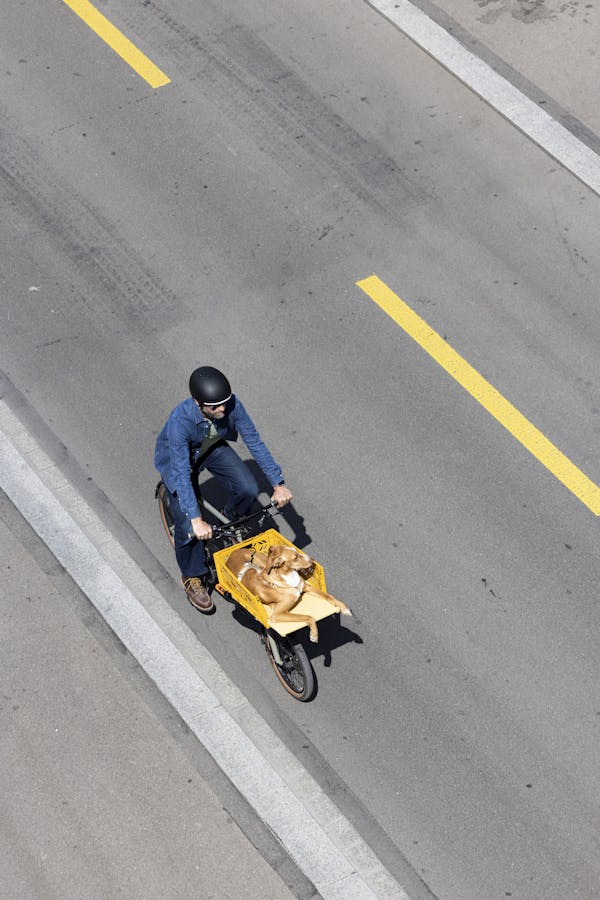 man carrying dog on a cargo bike