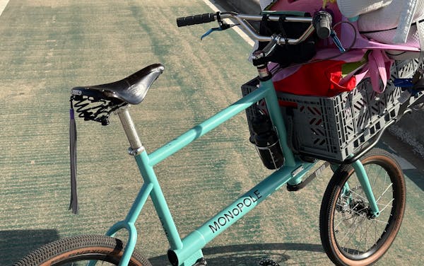 MONoPOLE custom cargo bike with a front platform rack, grey crate, and belt drive steering, parked on a bike lane.