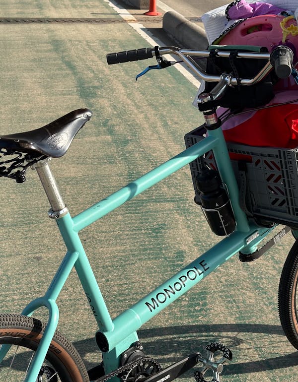 MONoPOLE custom cargo bike with a front platform rack, grey crate, and belt drive steering, parked on a bike lane.