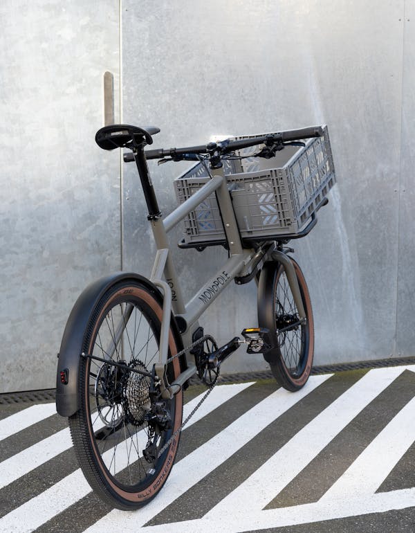 MONoPOLE cargo bike rear view.