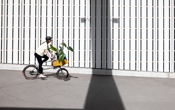 woman carrying plants on cargo bike