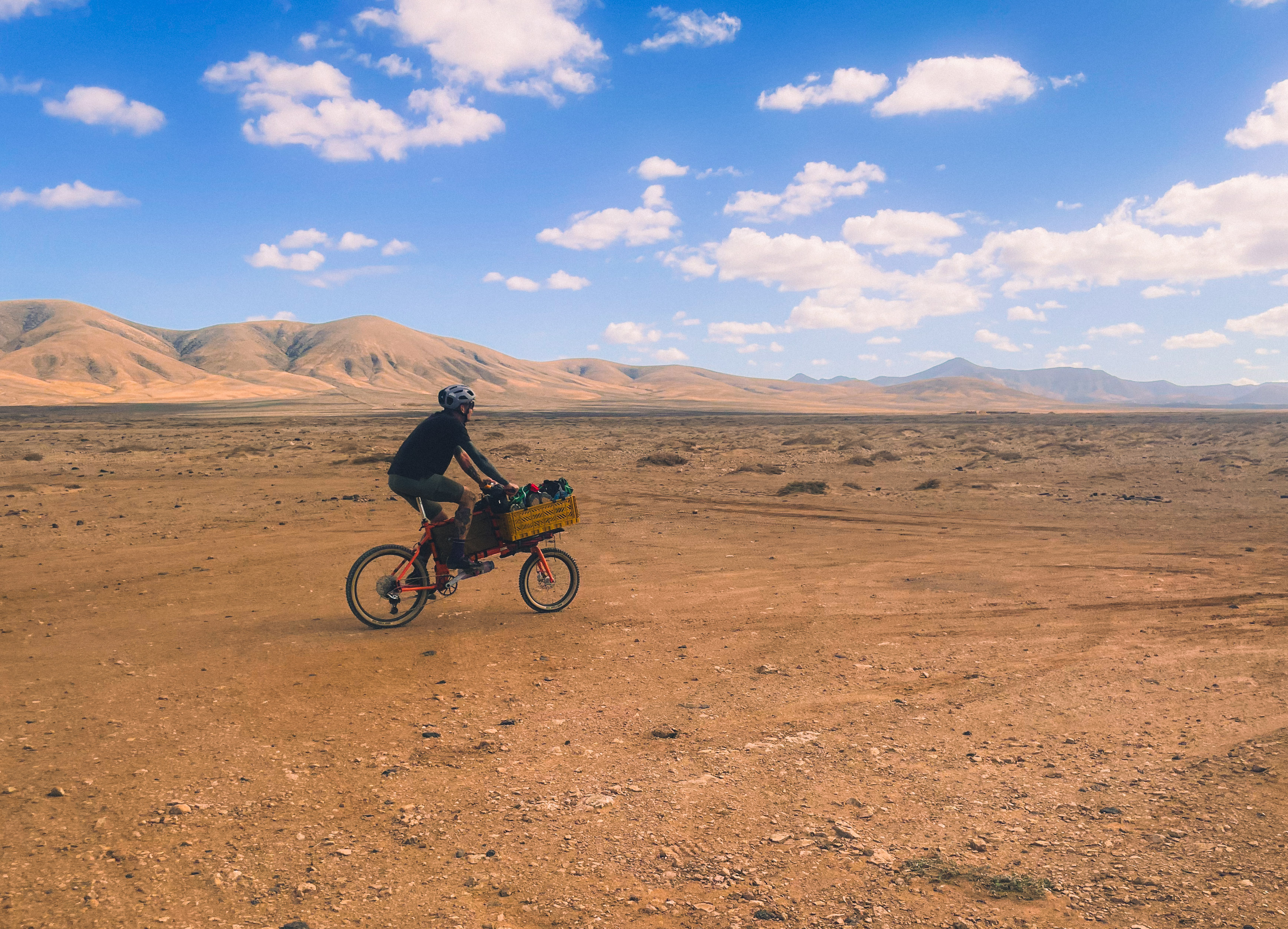 Portrait Adam Wilkoszarski