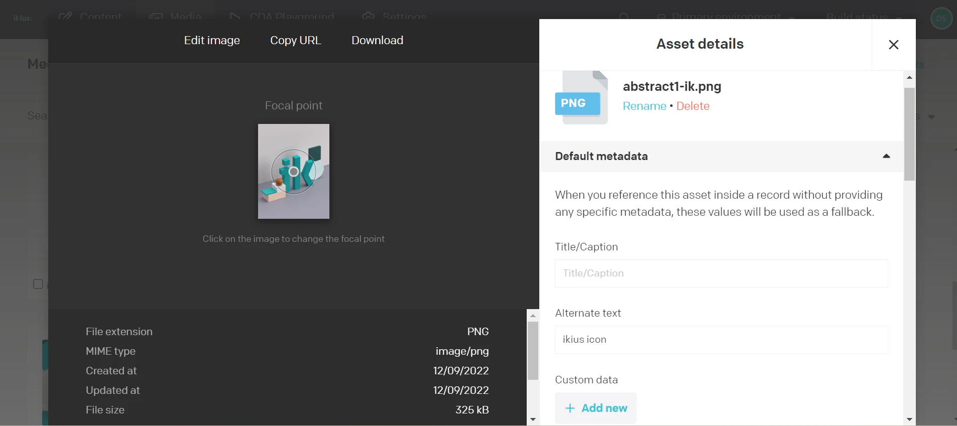 asset manager datocms