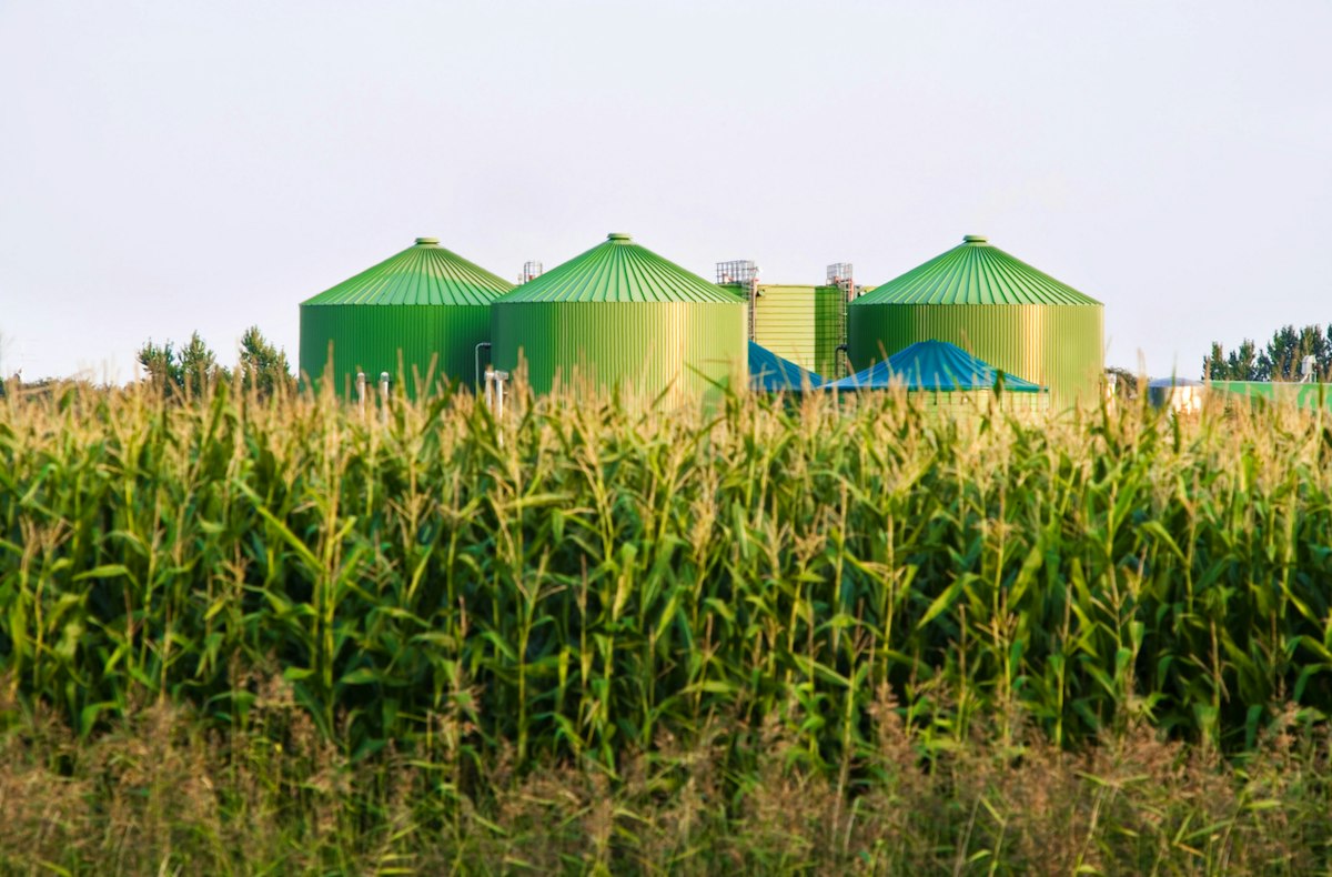 A major turn: Big Oil bets on biofuels with more than 40 projects ...
