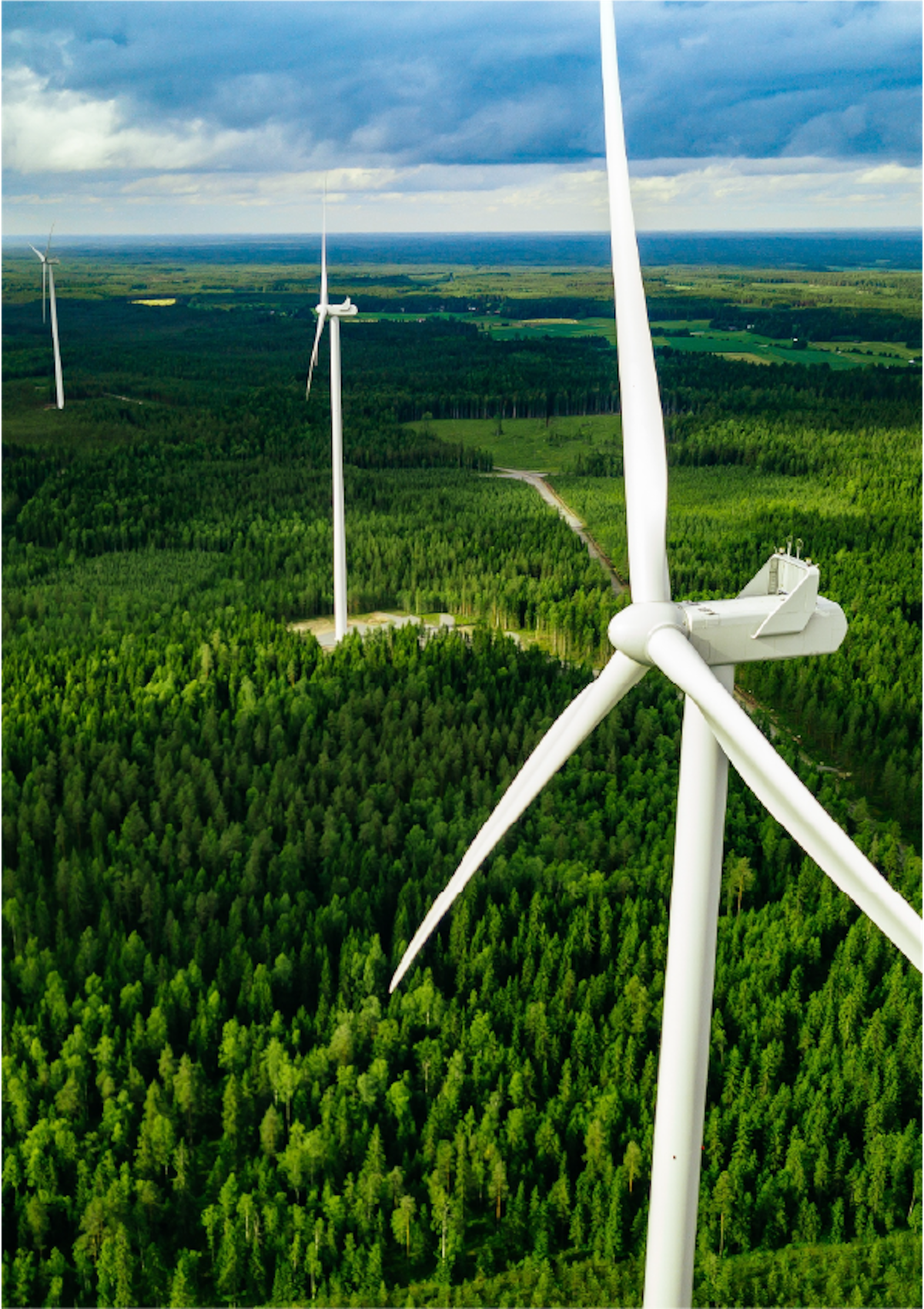 Wind Trends Report – Condensed Version