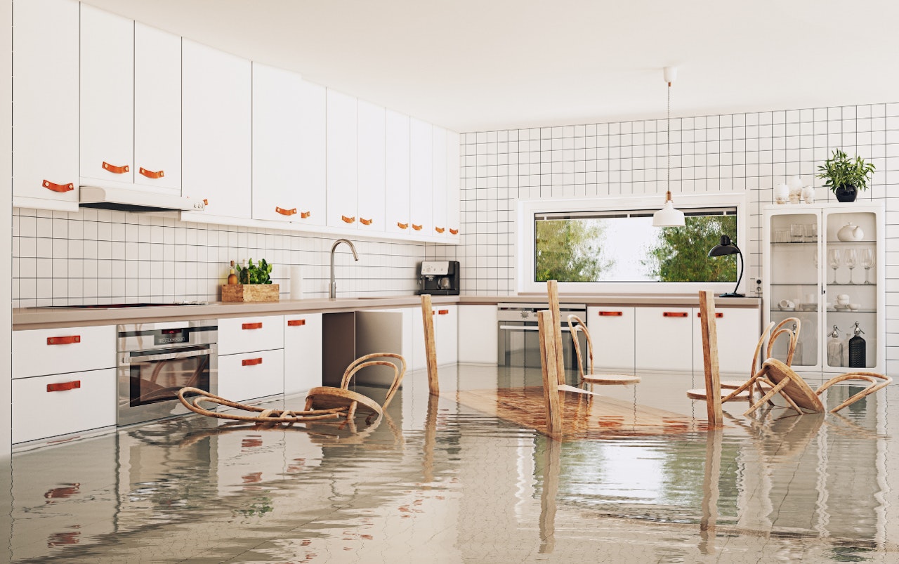 Cover Image for Is een huis of appartement kopen in een overstromingsgebied het waard?