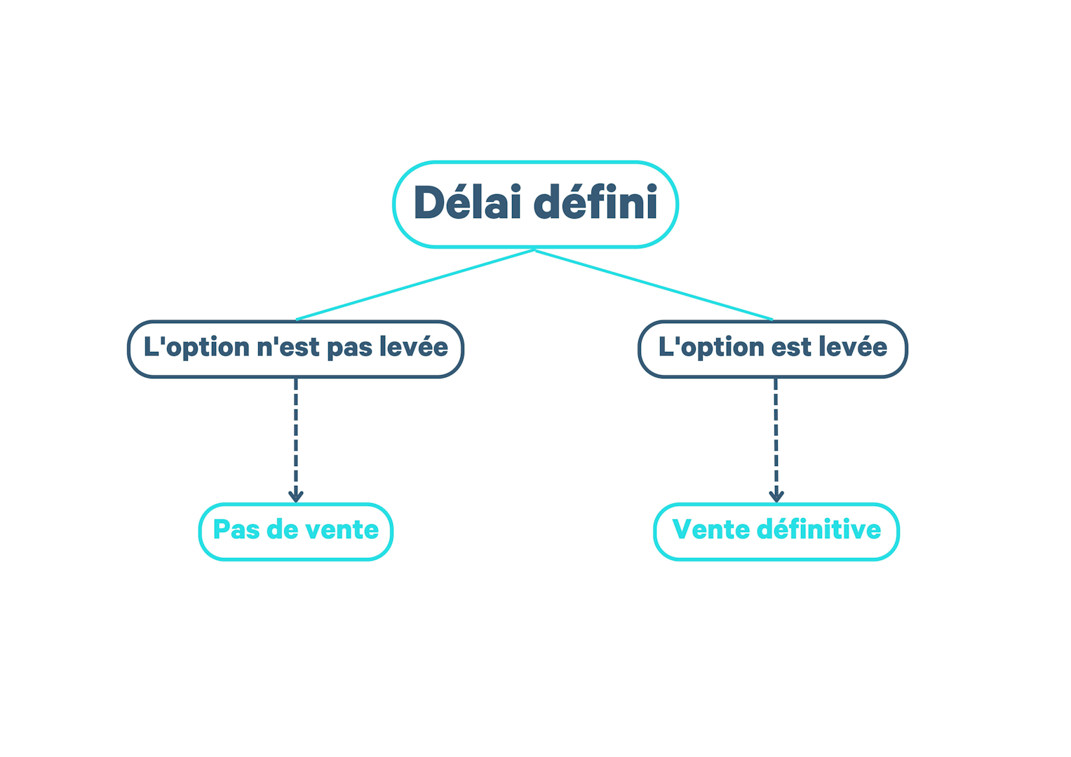 Étapes de l'option