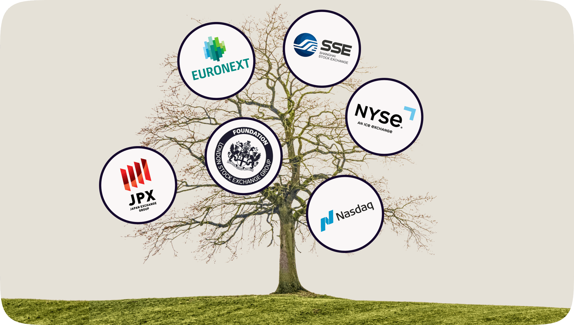 The difference between the stock market and a stock exchange