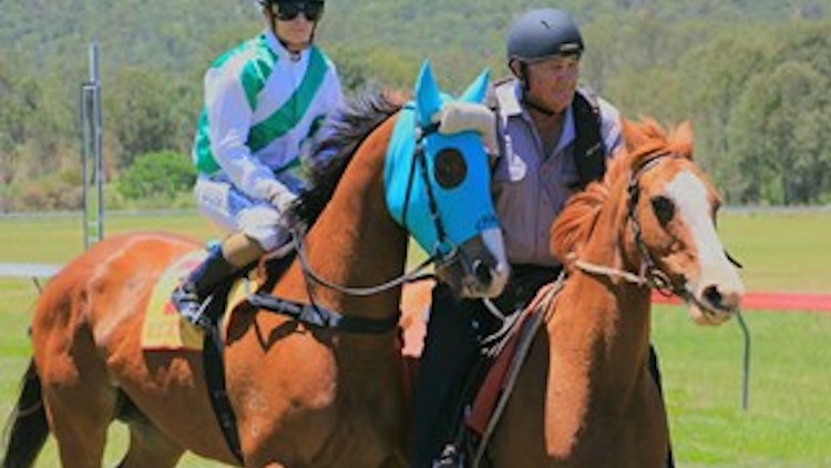 Two horses with rider