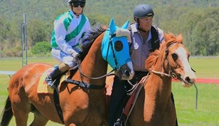 Two horses with rider