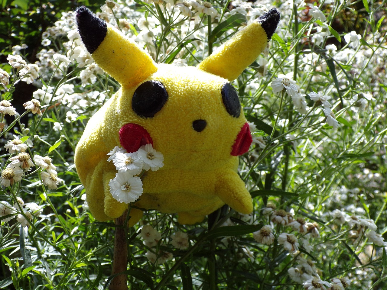 Pokemons tipo planta, ultima evolucion ✌  Dessin pokemon, Image de pokemon,  Coloriage pokemon