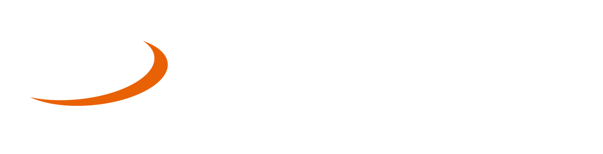 Logo Snai
