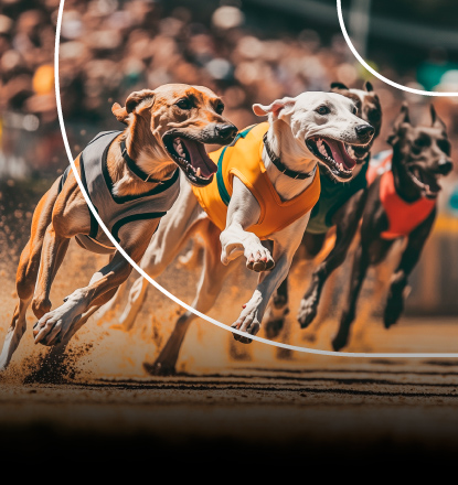 Interfaccia virtuale delle scommesse SNAI