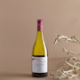 https://www.datocms-assets.com/76721/1739444216-banfi-23-07-12-0498_m-vermentino2025.jpg?auto=format&h=90