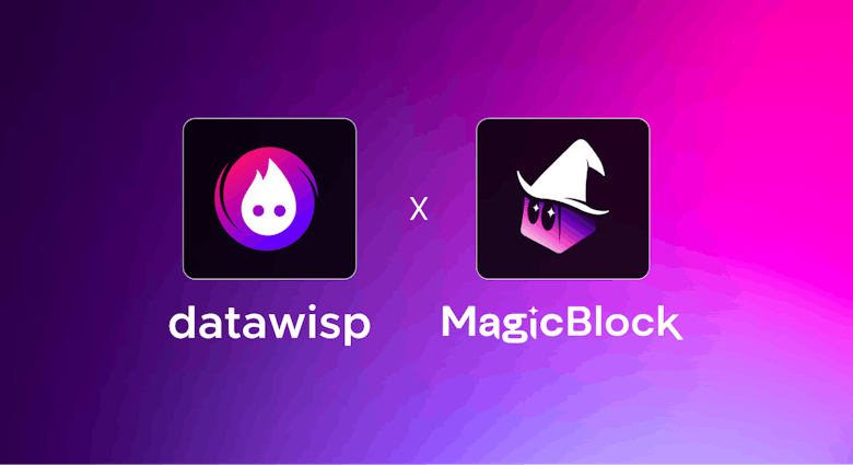 Datawisp x MagicBlock - No Code Analytics for On-Chain Games