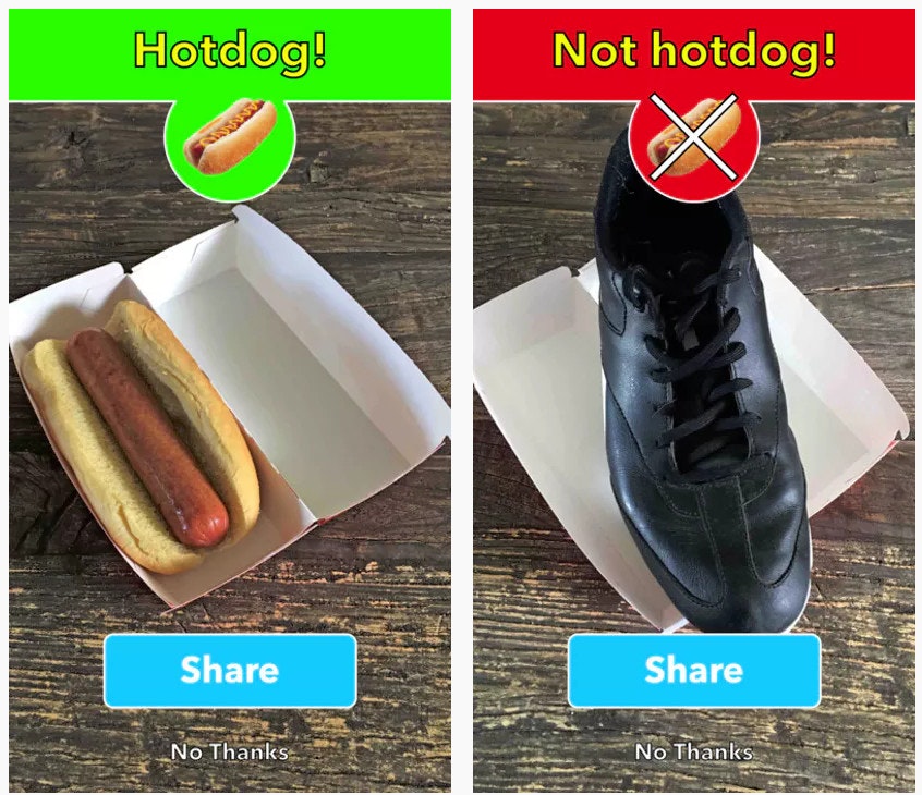 not_hot_dog_app