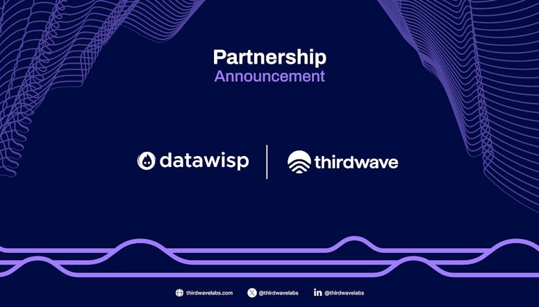 Unlocking the Full Power of Thirdwave Wallet Intelligence with Datawisp