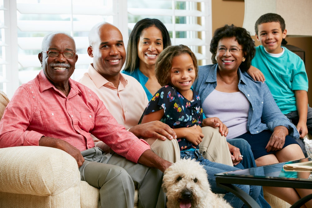 Cover Image for Pesquisa revela que 88% das pessoas consideram seus cães membros da família